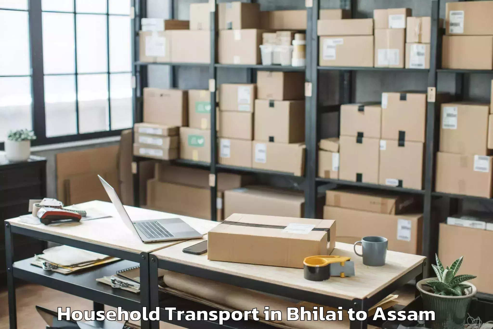 Affordable Bhilai to Sonapur Household Transport